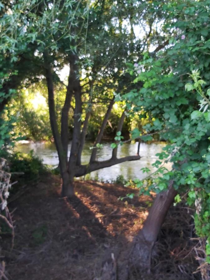 Durmiendo Entre Arboles, Bonita Cabana En La Rioja Anguciana Eksteriør bilde