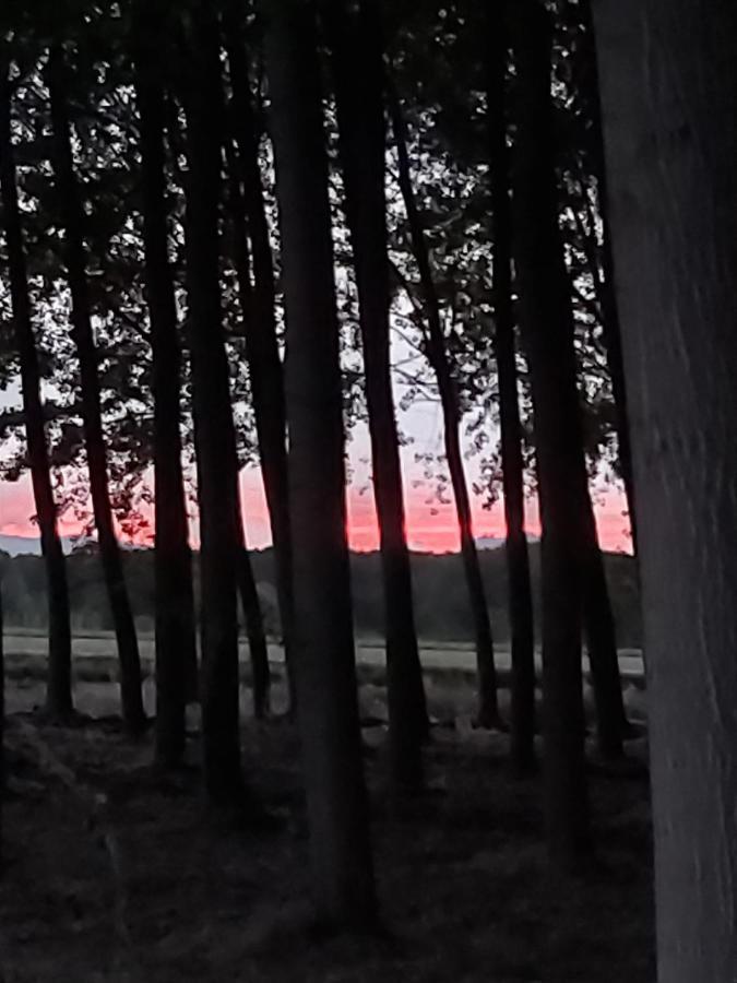 Durmiendo Entre Arboles, Bonita Cabana En La Rioja Anguciana Eksteriør bilde