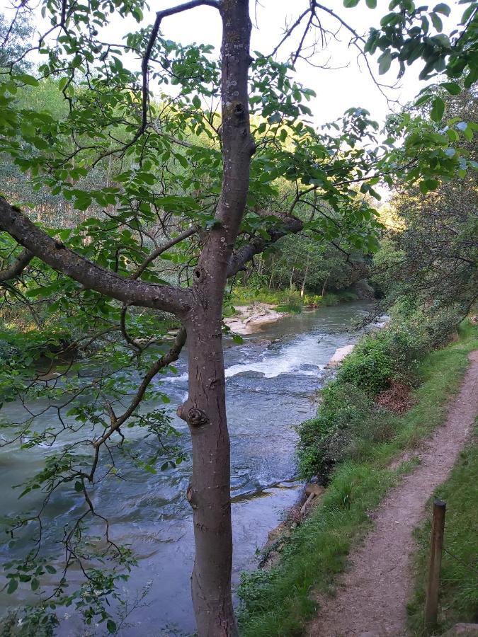 Durmiendo Entre Arboles, Bonita Cabana En La Rioja Anguciana Eksteriør bilde