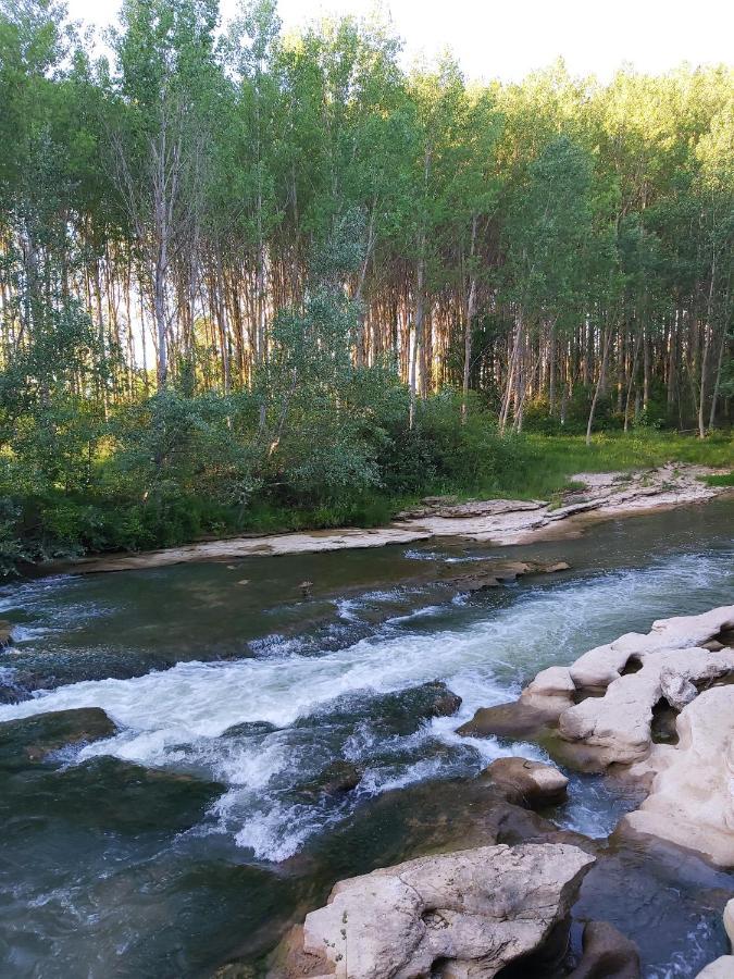 Durmiendo Entre Arboles, Bonita Cabana En La Rioja Anguciana Eksteriør bilde